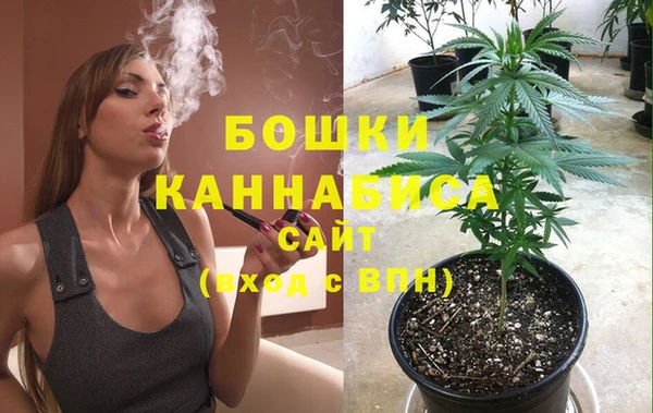 индика Богородск