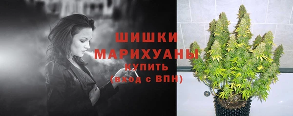 индика Богородск