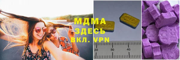 индика Богородск
