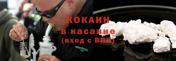 индика Богородск