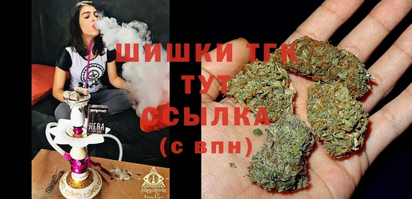 соль курить ск Богданович