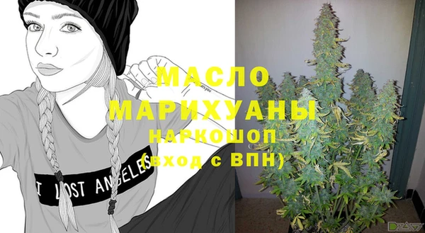 индика Богородск