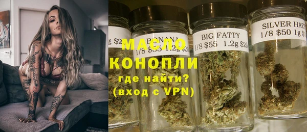 индика Богородск