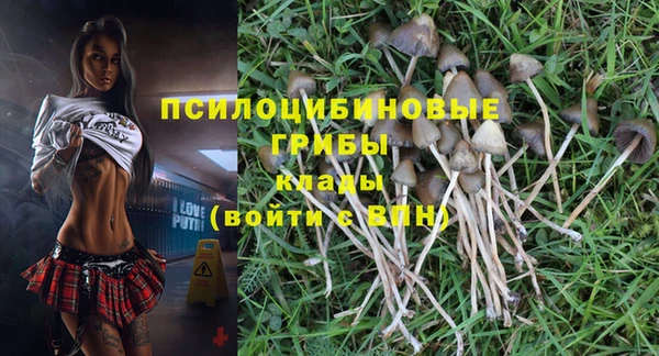 индика Богородск