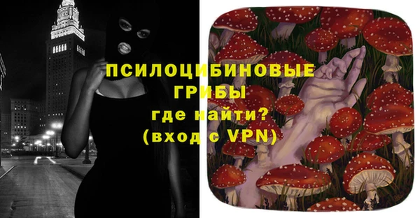 соль курить ск Богданович