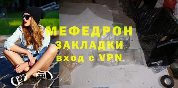 индика Богородск