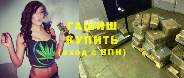 индика Богородск