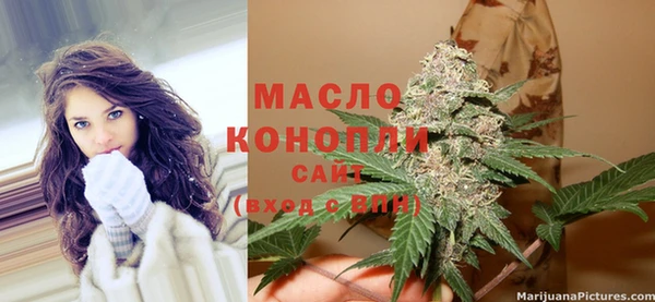 индика Богородск