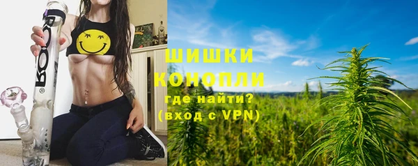 индика Богородск