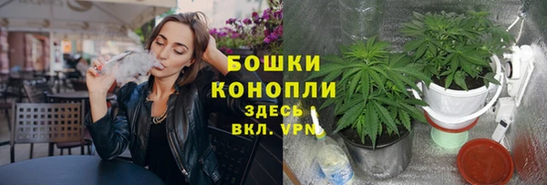 MESCALINE Богородицк