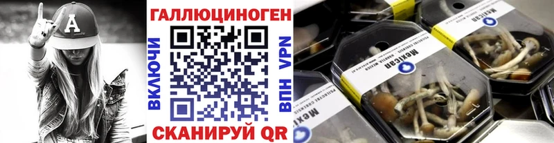 Галлюциногенные грибы Magic Shrooms  закладки  Ядрин 